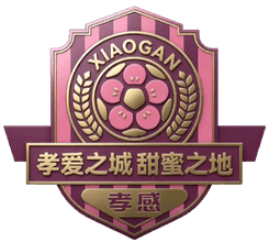 Xiaogan Team